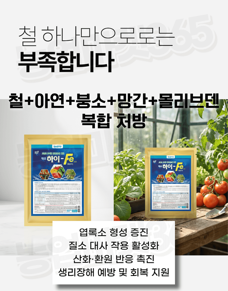 농업마켓365님의 장터 판매 상품 [대유 하이Fe 수용제 250g 고농도 킬레이트철 미량요소 황화현상 예방 회복] 첨부 사진