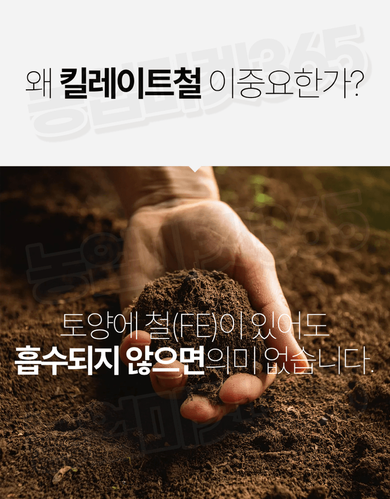 농업마켓365님의 장터 판매 상품 [대유 하이Fe 수용제 250g 고농도 킬레이트철 미량요소 황화현상 예방 회복] 첨부 사진