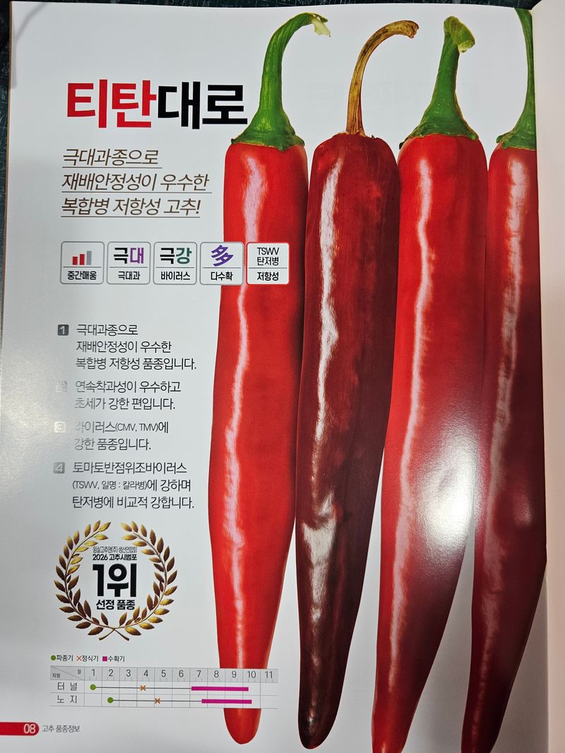 한농농약종묘사님의 장터 판매 상품 [[티탄대로] 중간매움 복합내병계] 첨부 사진