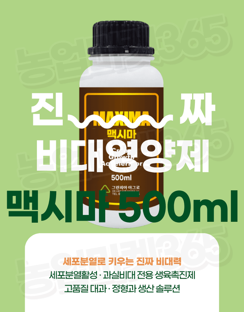 농업마켓365님의 장터 판매 상품 [맥시마 500ml 노르웨이산 해조추출물 비대제 세포분열 활성 과실비대제] 첨부 사진