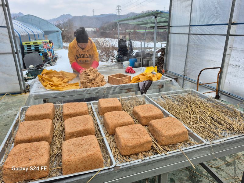 음두임님의 장터 판매 상품 [괴산 전통메주] 첨부 사진