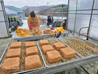 음두임님의 작성글 사진