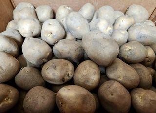 어나영님의 기타작물·자유게시판 작성글 사진