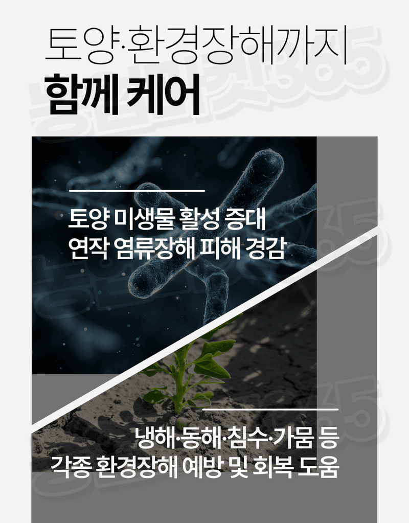 농업마켓365님의 장터 판매 상품 [대유 하이Fe 수용제 250g 고농도 킬레이트철 미량요소 황화현상 예방 회복] 첨부 사진