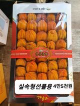 김복렬님의 자유주제·자유게시판 작성글 사진