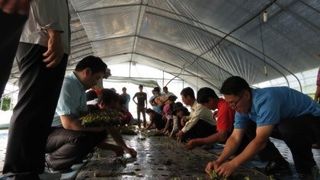 농민님의 자유주제 · 자유게시판 작성글 사진