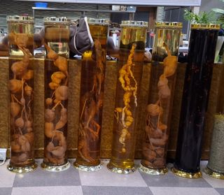 MSG0074님의 자유주제 · 자유게시판 작성글 사진