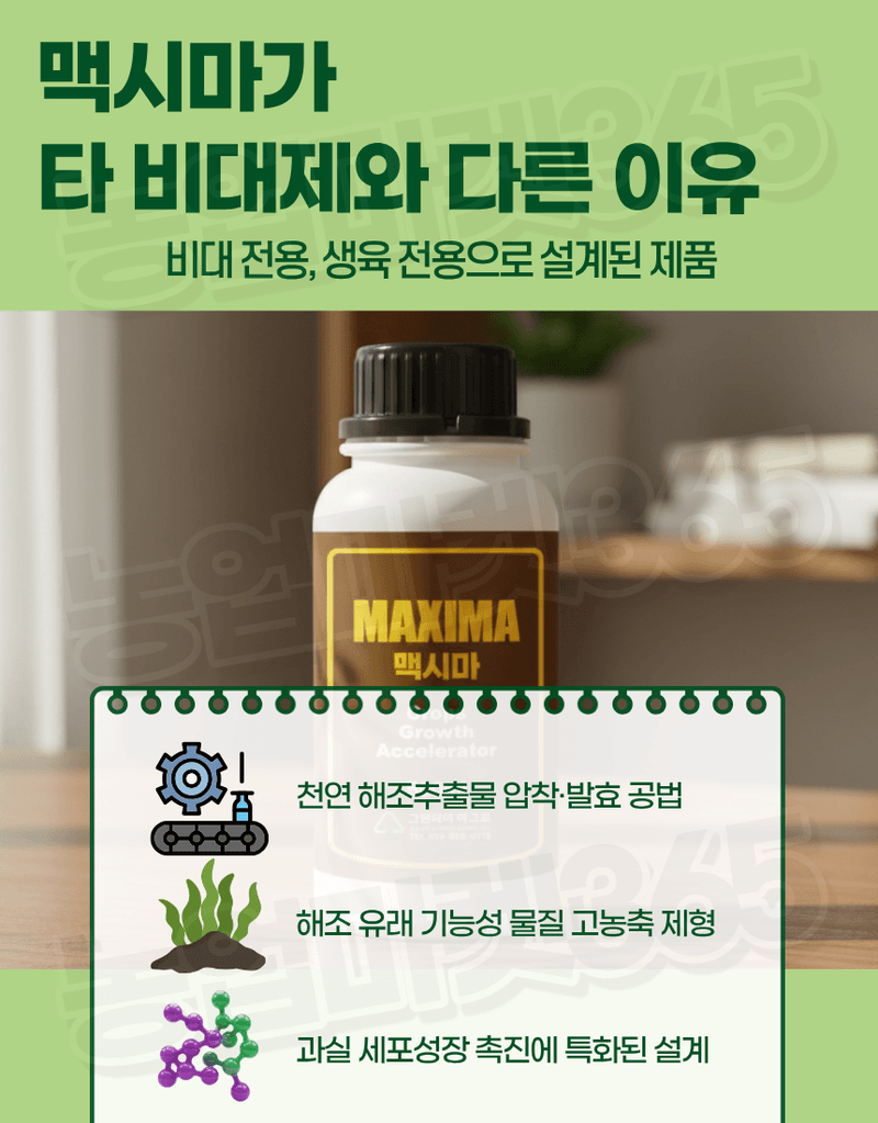 농업마켓365님의 장터 판매 상품 [맥시마 500ml 노르웨이산 해조추출물 비대제 세포분열 활성 과실비대제] 첨부 사진