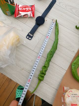 조일연님의 자유주제 · 사진전 작성글 사진