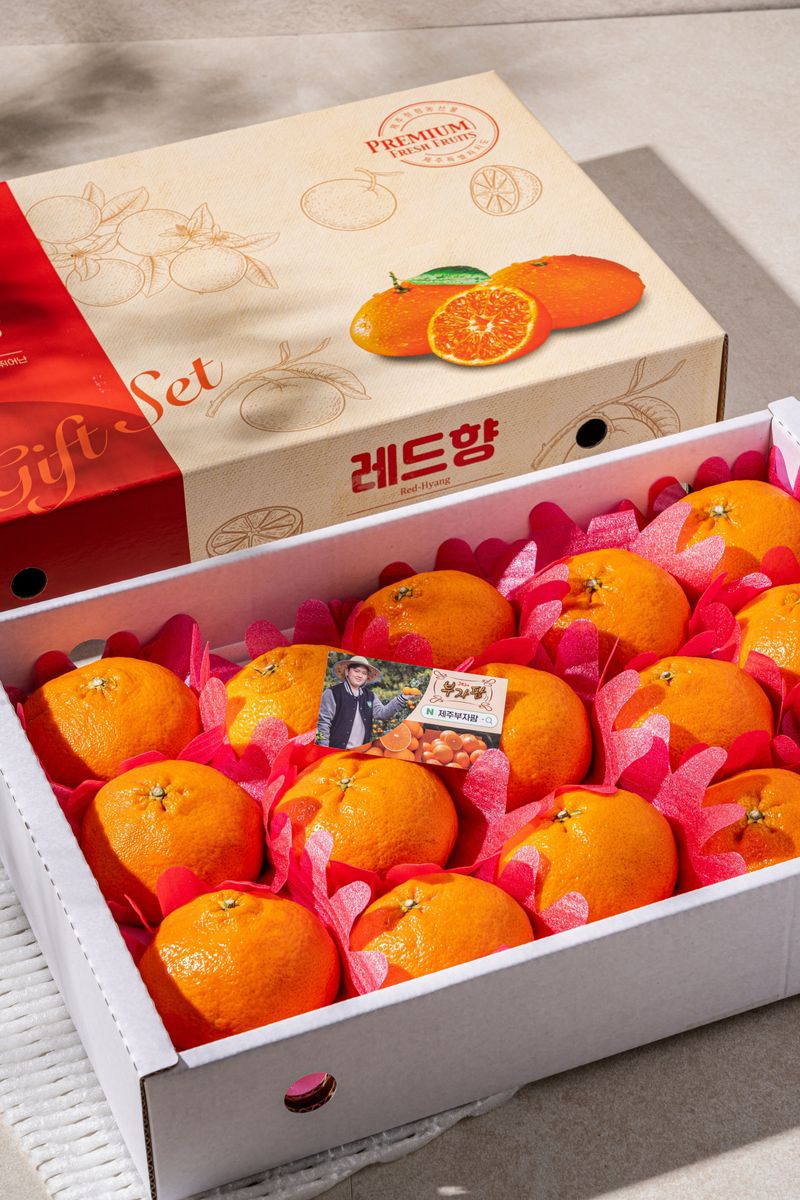 제주부자팜님의 장터 판매 상품 [레드향  3kg 5kg 10kg  ] 첨부 사진