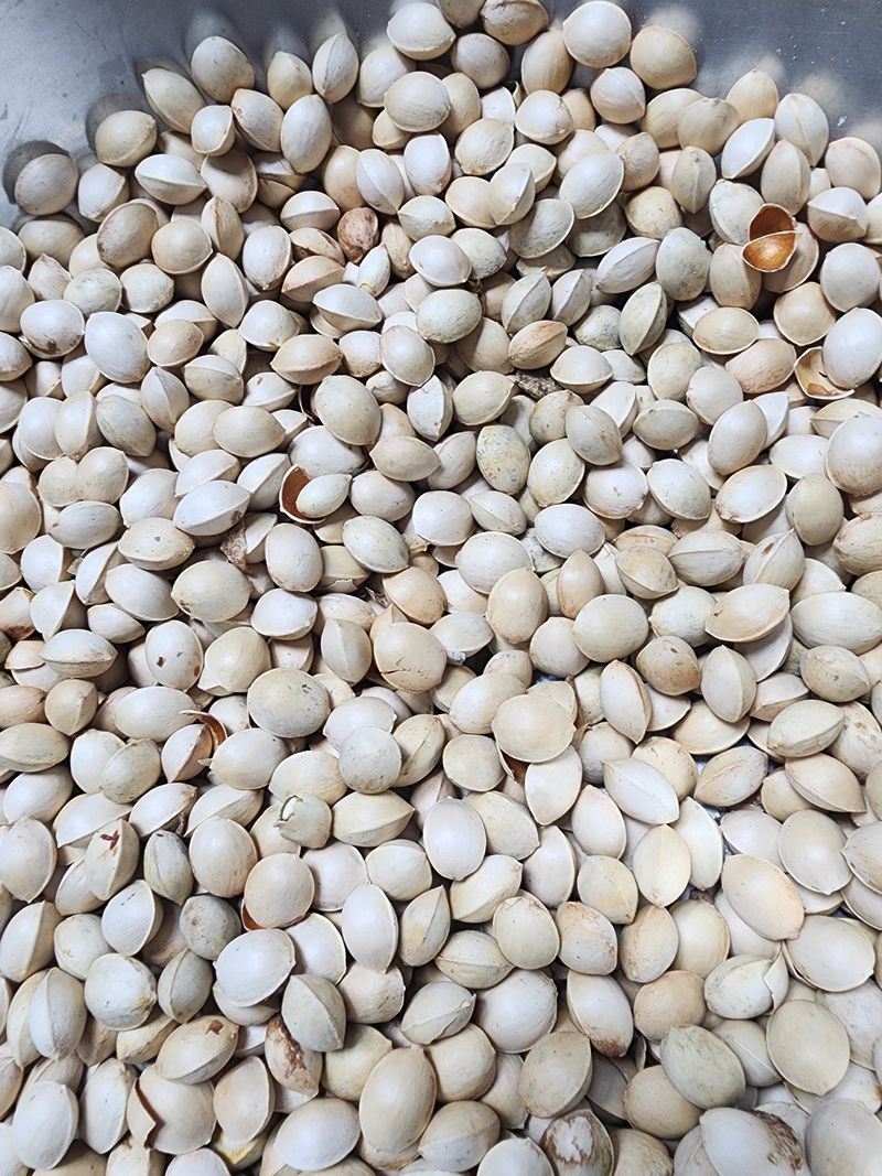 장터 상품 [피은행] 썸네일