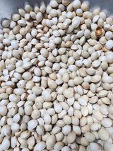 팜모닝 · 게시글 이미지