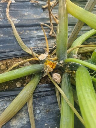 참깨9472님의 자유주제 · 사진전 작성글 사진