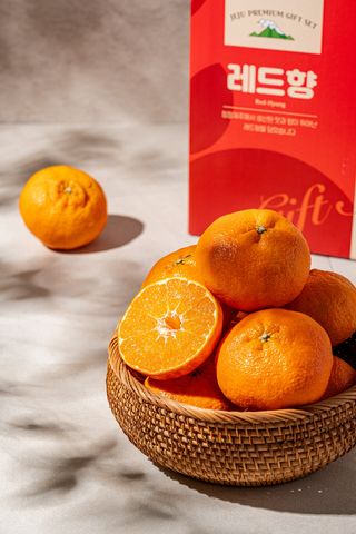 제주부자팜님의 작성글 사진