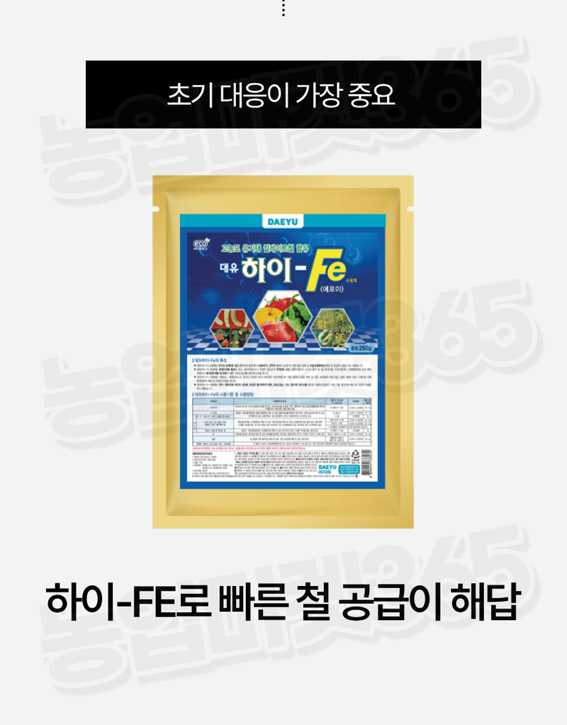 농업마켓365님의 장터 판매 상품 [대유 하이Fe 수용제 250g 고농도 킬레이트철 미량요소 황화현상 예방 회복] 첨부 사진
