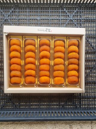 이순기님의 작성글 사진