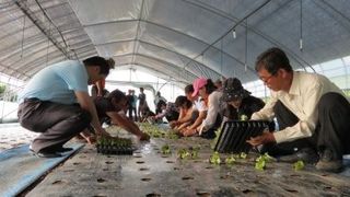 농민님의 자유주제 · 자유게시판 작성글 사진