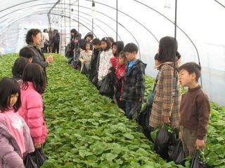 농민님의 자유주제 · 자유게시판 작성글 사진