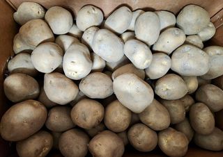 어나영님의 자유주제 · 자유게시판 작성글 사진