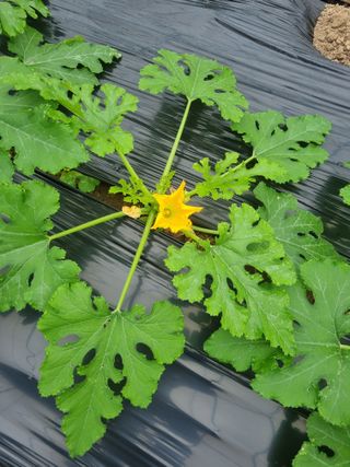 참깨9472님의 자유주제 · 사진전 작성글 사진