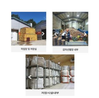 대산농사대장님의 감자 · 자유게시판 작성글 사진