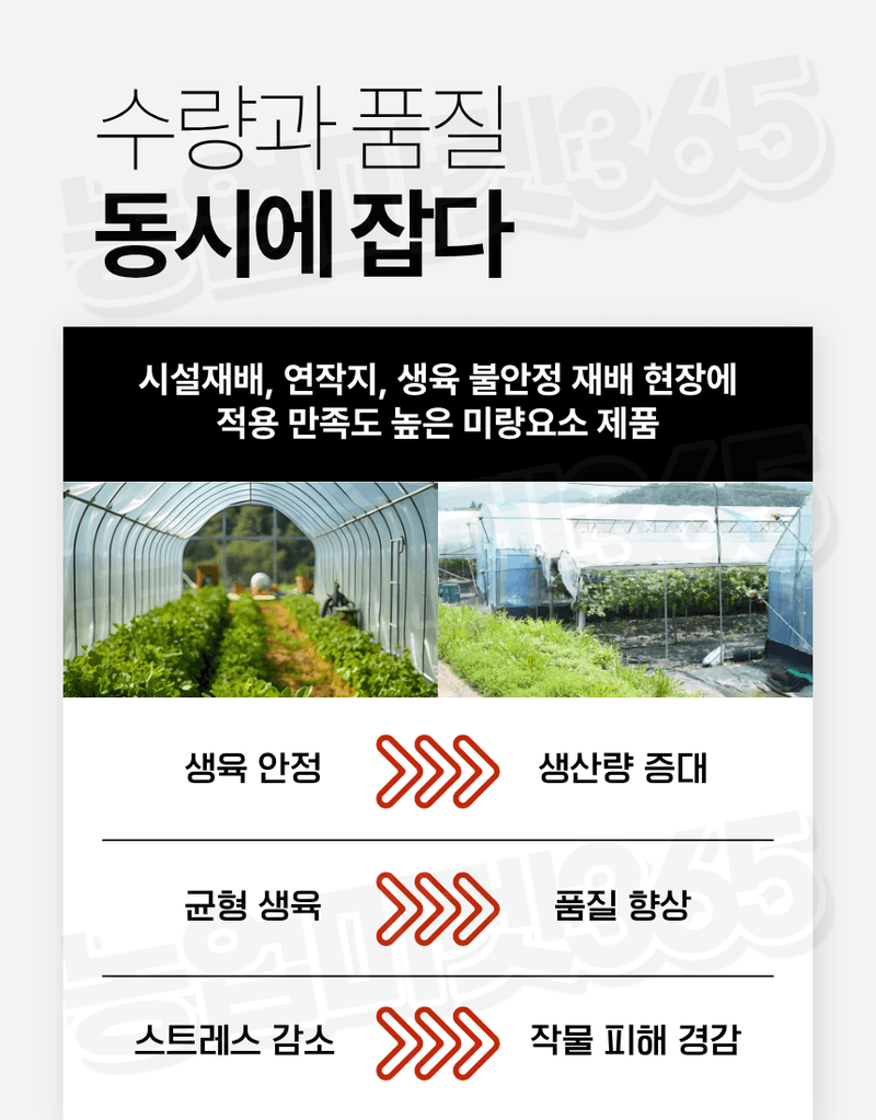 농업마켓365님의 장터 판매 상품 [대유 하이Fe 수용제 250g 고농도 킬레이트철 미량요소 황화현상 예방 회복] 첨부 사진