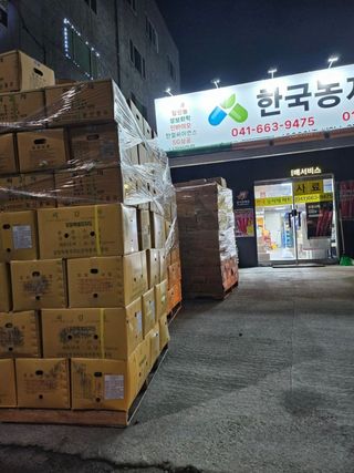 대산농사대장님의 감자·자유게시판 작성글 사진