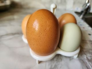 복숭아님의 자유주제 · 자유게시판 작성글 사진