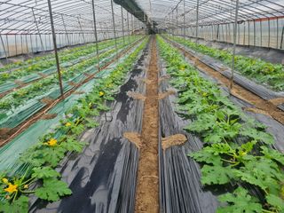 참깨9472님의 자유주제 · 사진전 작성글 사진