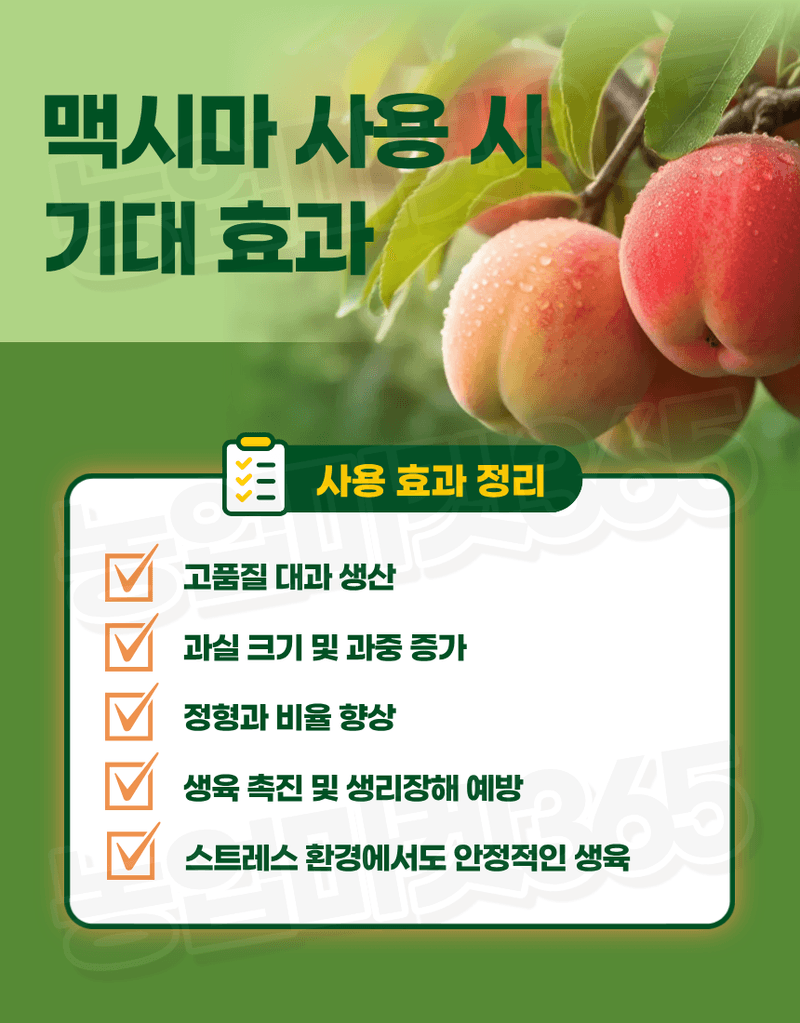 농업마켓365님의 장터 판매 상품 [맥시마 500ml 노르웨이산 해조추출물 비대제 세포분열 활성 과실비대제] 첨부 사진