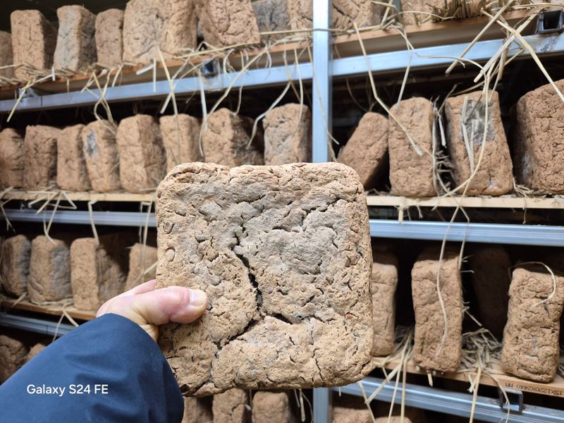 장터 상품 [괴산 전통메주] 썸네일