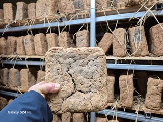 음두임님의 작성글 사진