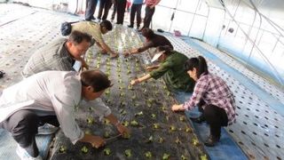 농민님의 자유주제 · 자유게시판 작성글 사진