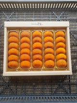 팜모닝 · 게시글 이미지