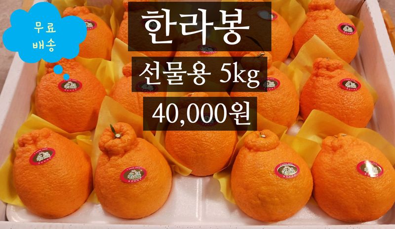 예농원님의 장터 판매 상품 [레드향 ,천혜향,한라봉 남은물량 할인판매해요] 첨부 사진