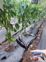 팜모닝 자유주제·사진전 게시글 이미지