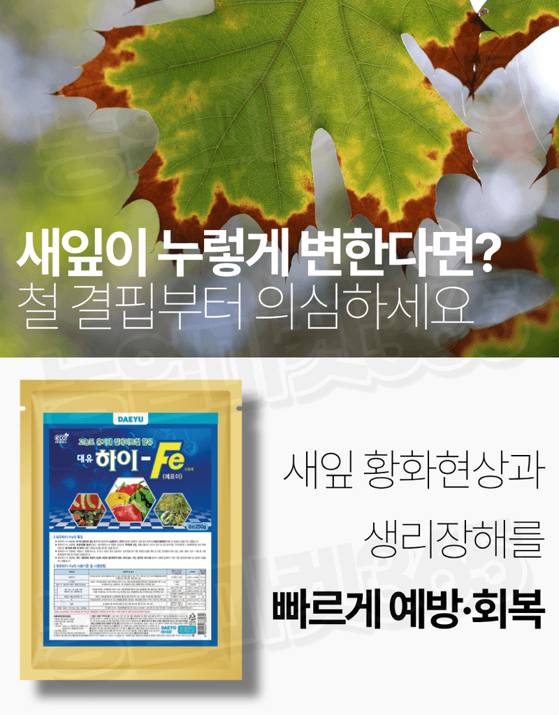 농업마켓365님의 장터 판매 상품 [대유 하이Fe 수용제 250g 고농도 킬레이트철 미량요소 황화현상 예방 회복] 첨부 사진