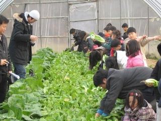 농민님의 자유주제 · 자유게시판 작성글 사진