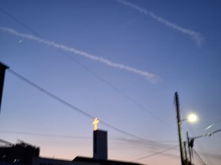 MSG0074님의 자유주제 · 자유게시판 작성글 사진