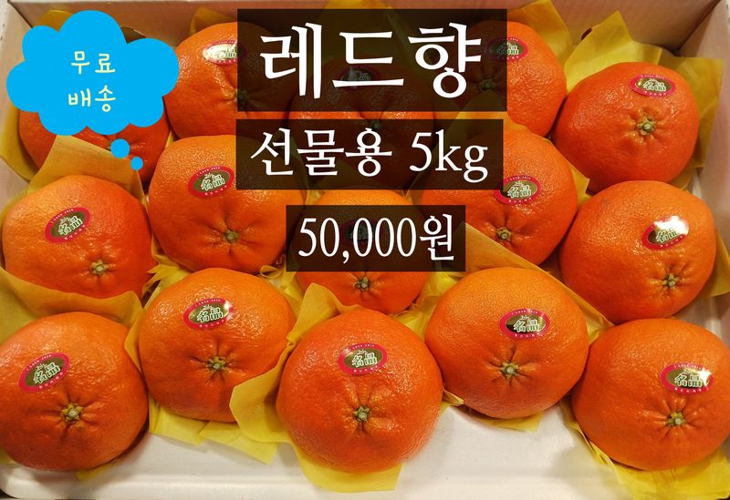 예농원님의 장터 판매 상품 [레드향 ,천혜향,한라봉 남은물량 할인판매해요] 첨부 사진