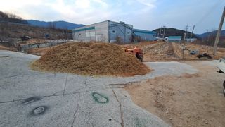 모포리흰개 님의 자유주제 · 자유게시판 작성글 사진