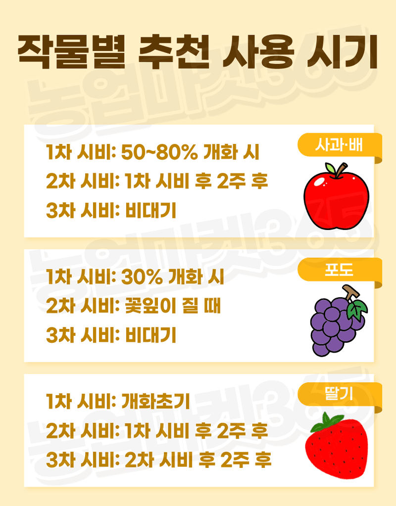 농업마켓365님의 장터 판매 상품 [맥시마 500ml 노르웨이산 해조추출물 비대제 세포분열 활성 과실비대제] 첨부 사진