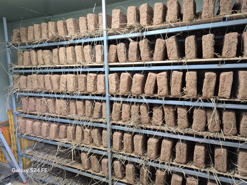 음두임님의 장터 판매 상품 [괴산 전통메주] 첨부 사진