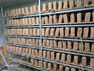 음두임님의 작성글 사진