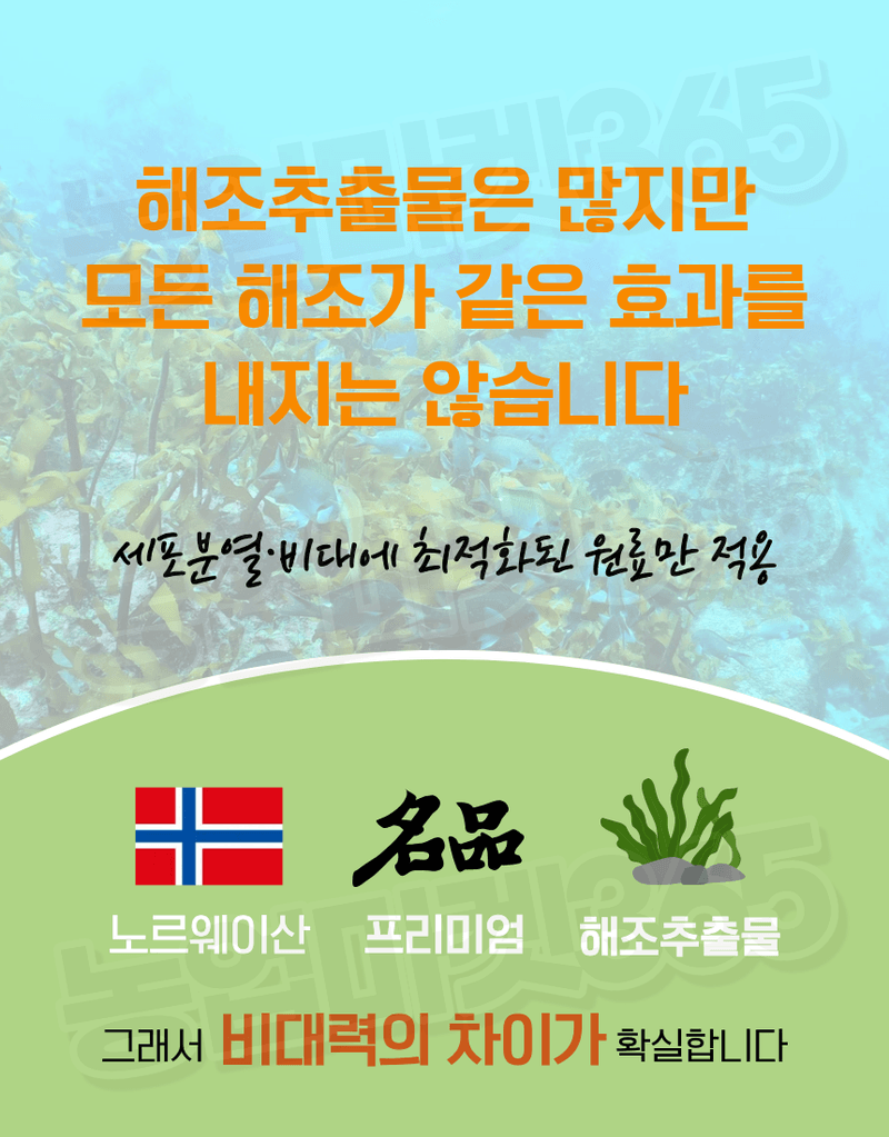 농업마켓365님의 장터 판매 상품 [맥시마 500ml 노르웨이산 해조추출물 비대제 세포분열 활성 과실비대제] 첨부 사진