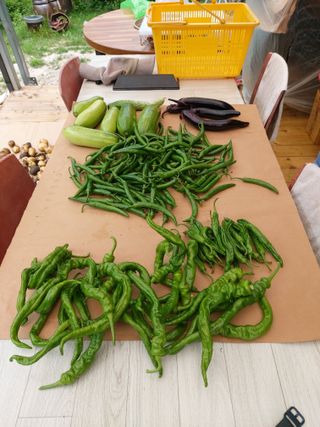 조일연님의 자유주제 · 사진전 작성글 사진