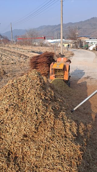 모포리흰개 님의 자유주제 · 자유게시판 작성글 사진