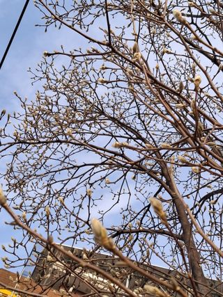 MSG0074님의 자유주제 · 자유게시판 작성글 사진