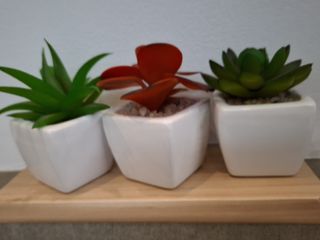 MSG0074님의 자유주제 · 자유게시판 작성글 사진