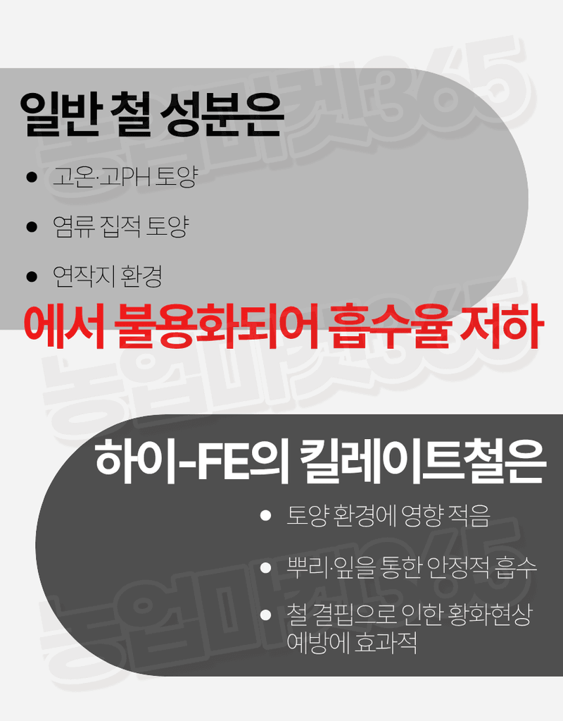 농업마켓365님의 장터 판매 상품 [대유 하이Fe 수용제 250g 고농도 킬레이트철 미량요소 황화현상 예방 회복] 첨부 사진